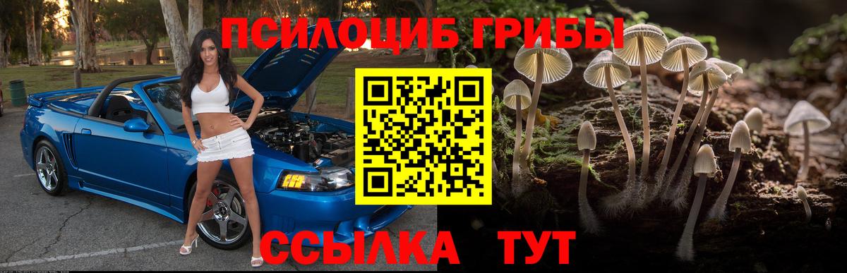 Галлюциногенные грибы мухоморы Ялуторовск