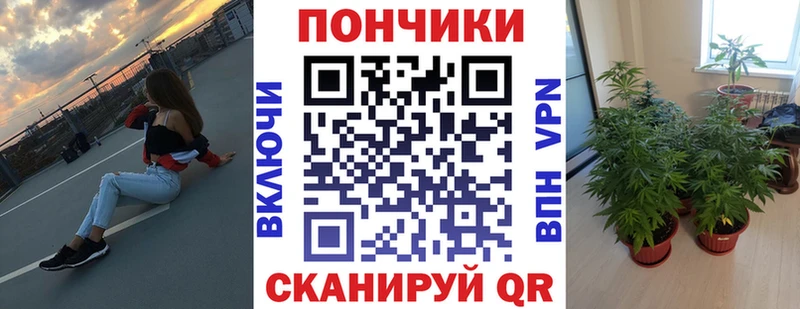 Канабис индика  Ялуторовск 