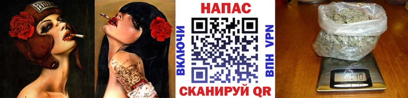 Бошки Шишки MAZAR Ялуторовск